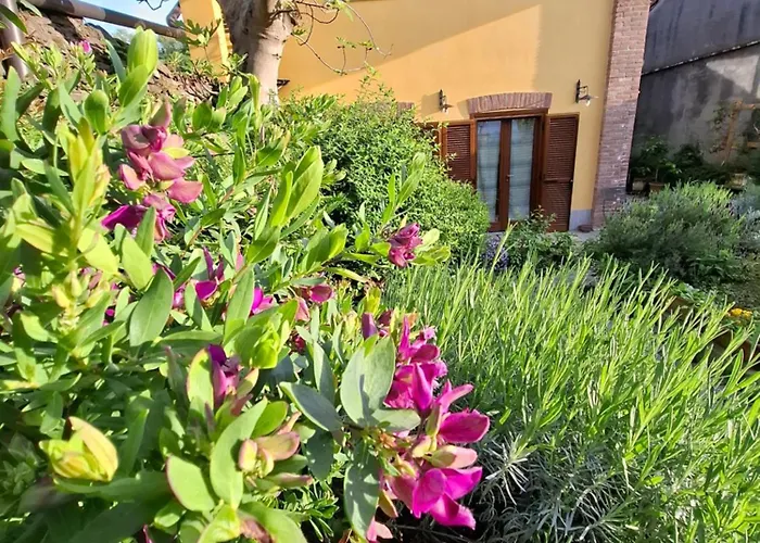 Casa Lavanda Rivoli 
